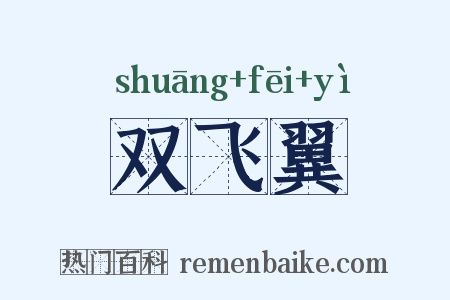 双飞翼是什么意思的图片